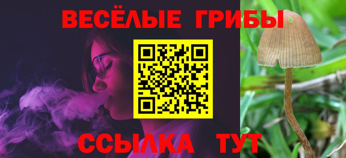 Галлюциногенные грибы GOLDEN TEACHER Лангепас